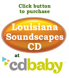 cdbabybutton