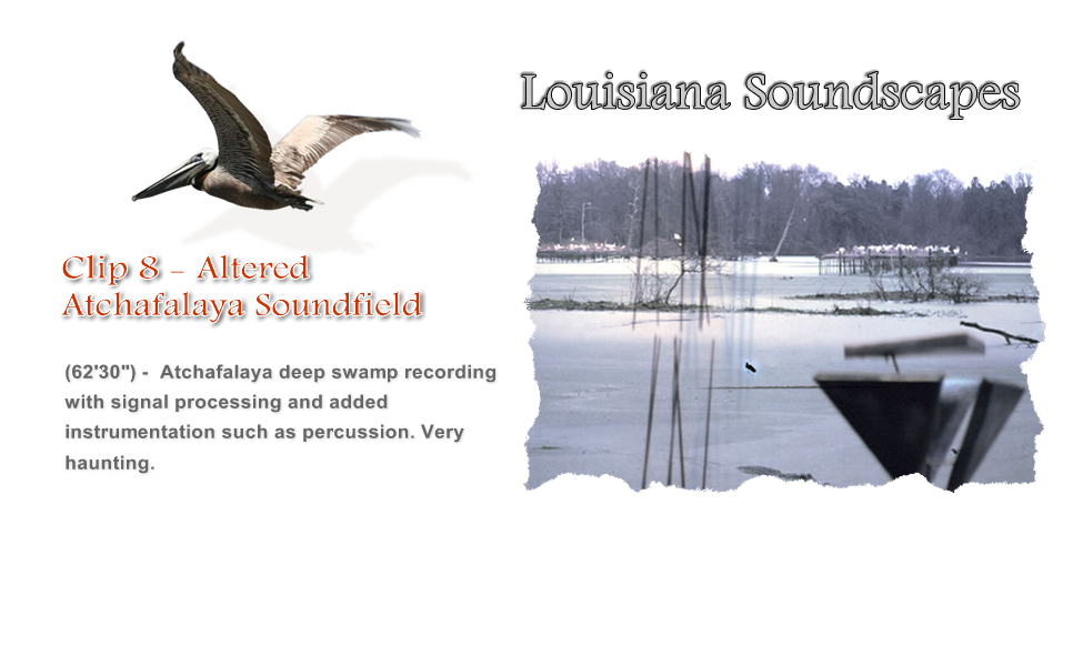 Altered Atchafalaya Soundfield